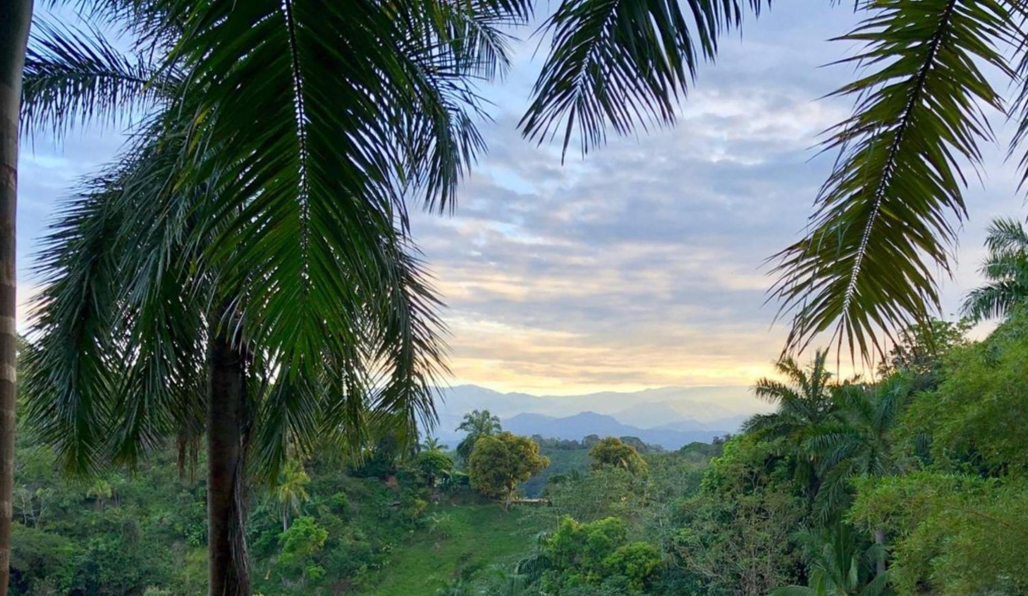 Boutique Hotel Las Cascadas Manuel Antonio Bilik gambar
